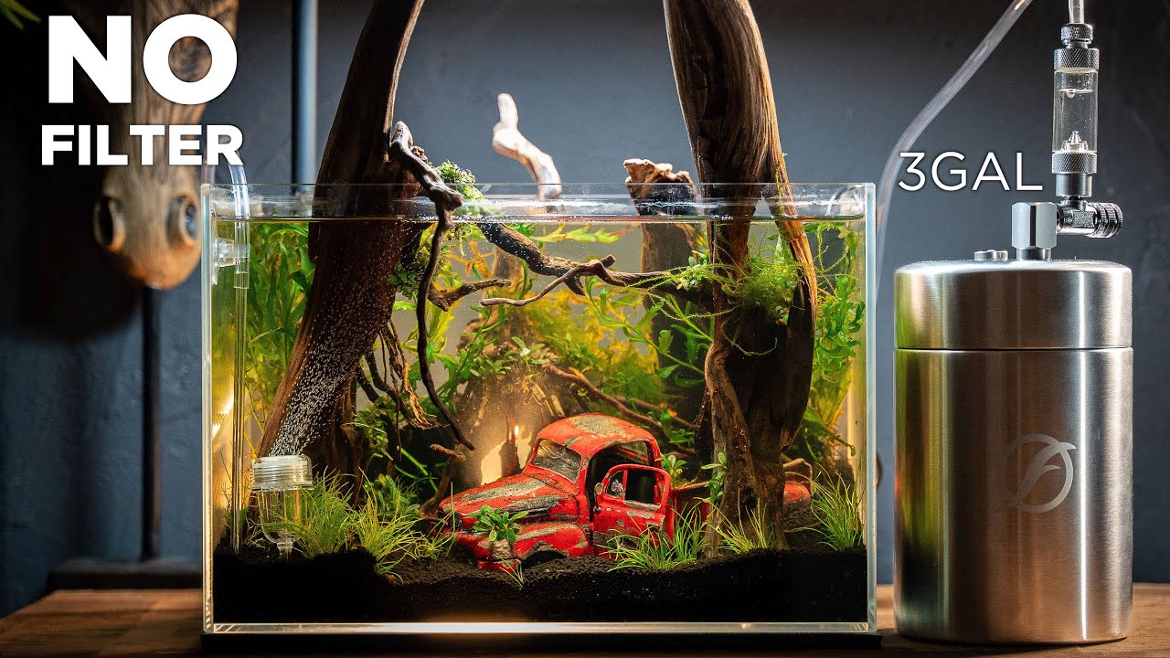 🦐NO FILTER nano tank for Shrimps with an ABANDONED Chevy truck. 🦐