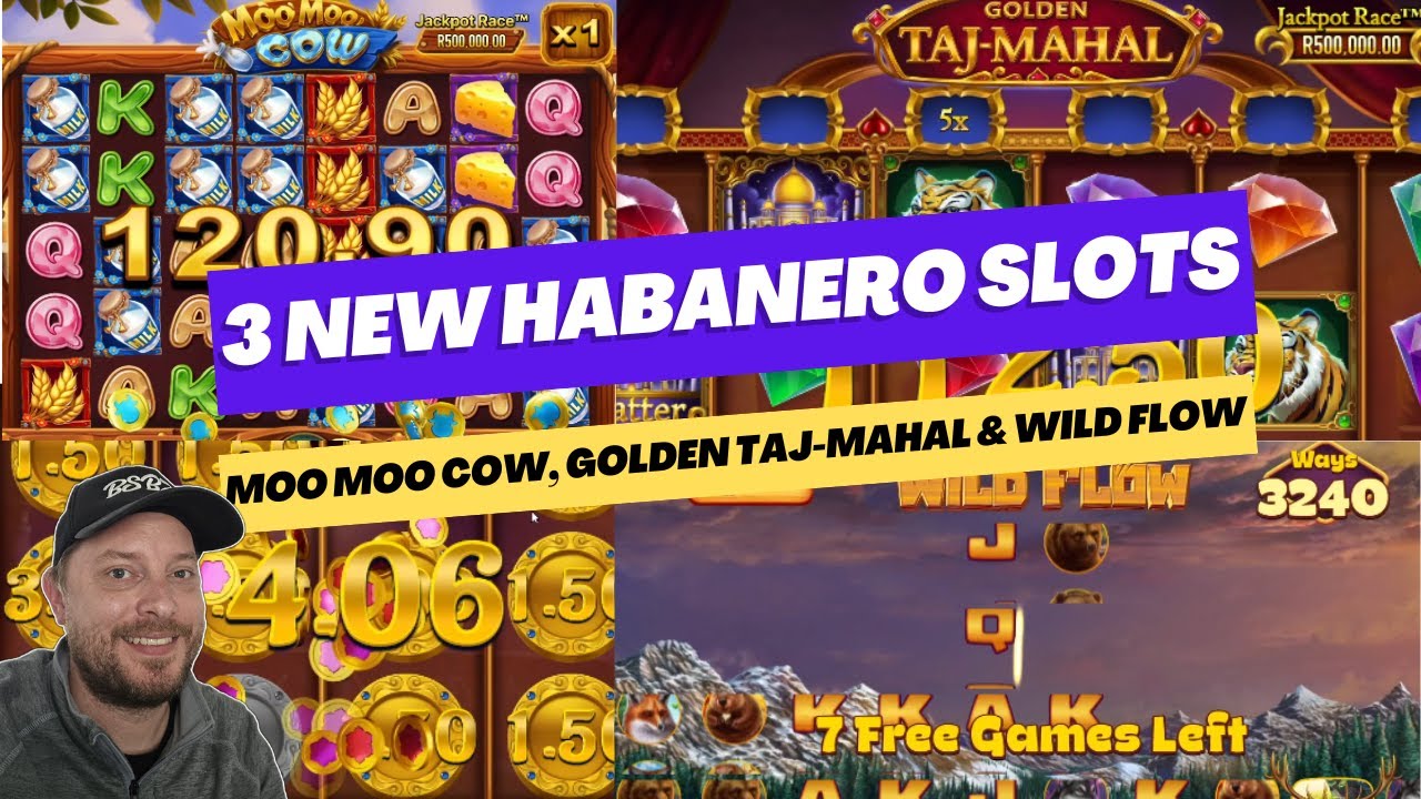 3 New Habanero Games (Golden Taj-Mahal, Moo Moo Cow & Wild Flow)