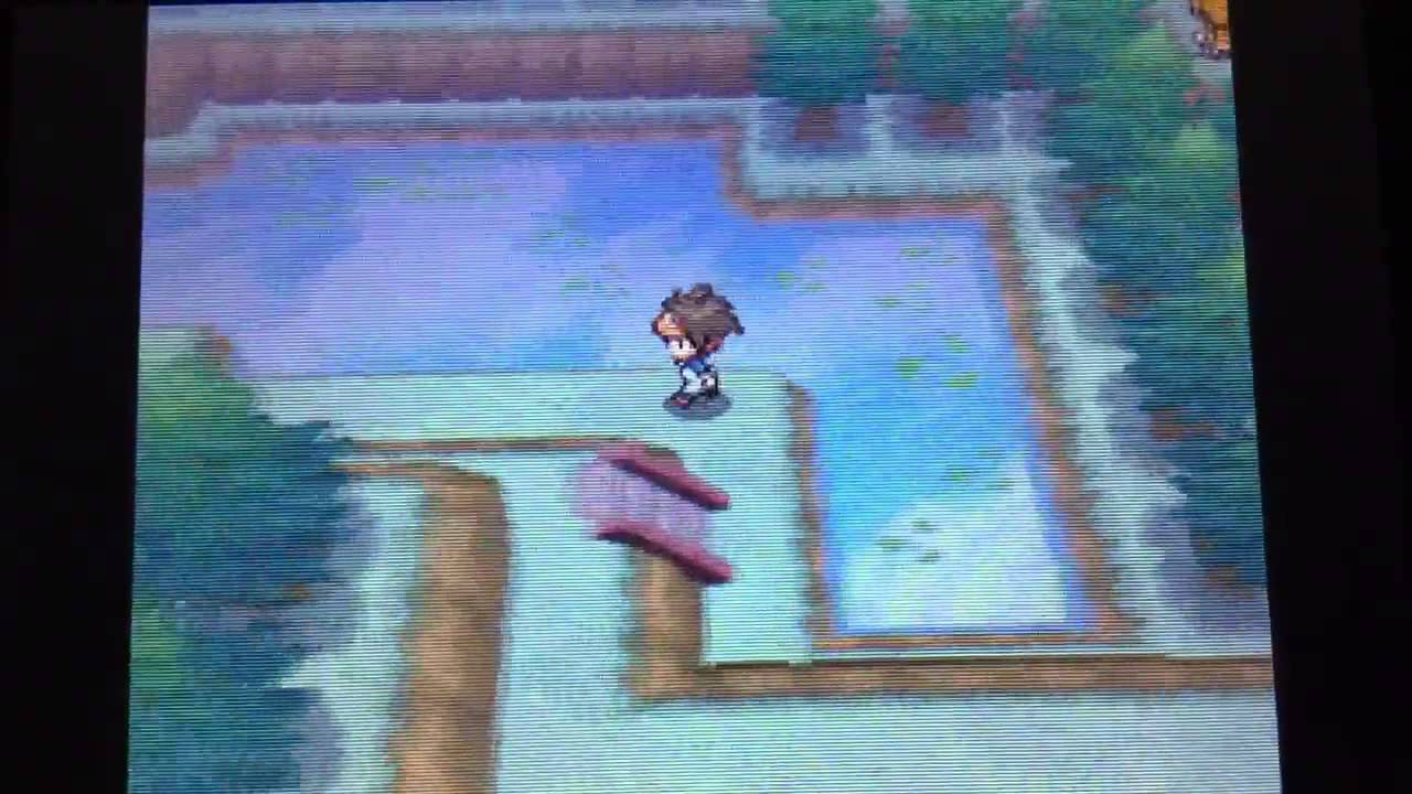 Pokemon BW2 : The Pinwheel Forest Hidden-Grotto