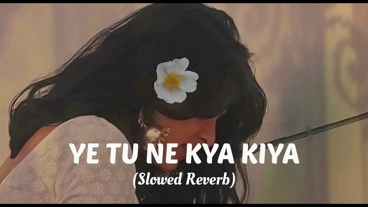 Yeh Tune Kya Kiya I Lofi Slowed + Reverb Vibes I Javed Bashir 
