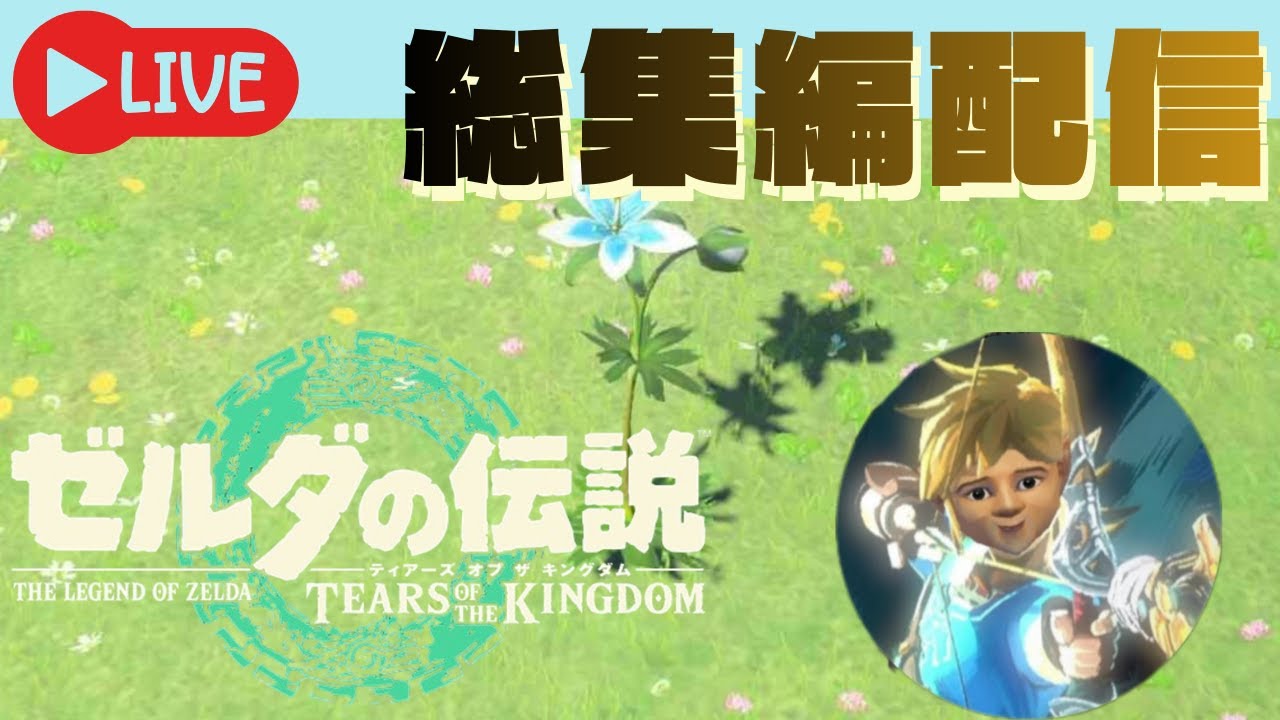 【ティアキン】異変探し＆隠し要素探し＆クリスマス企画｜3本立てアーカイブ再放送