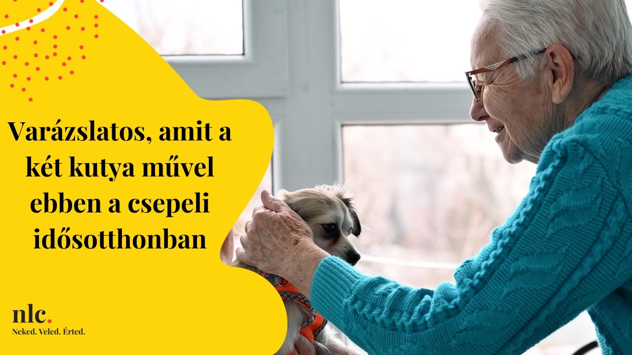 Varázslatos, amit a két kutya művel ebben a csepeli idősotthonban
