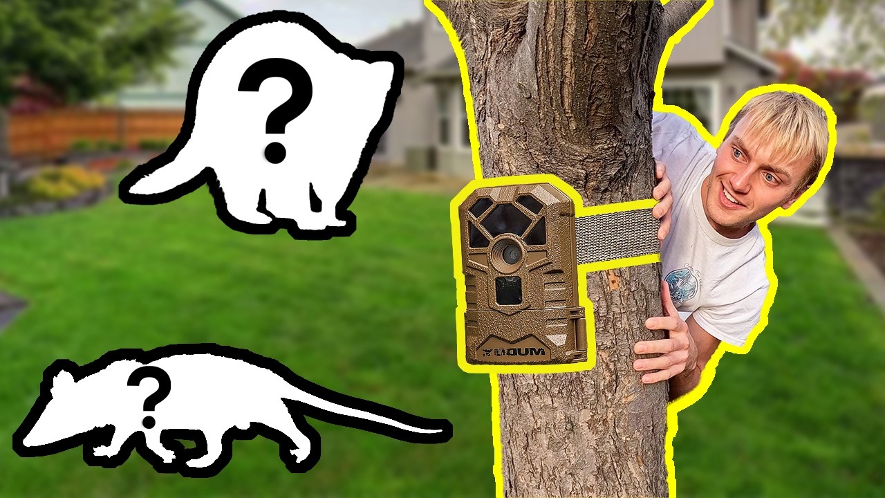 What's LIVING in my BACKYARD?!?!