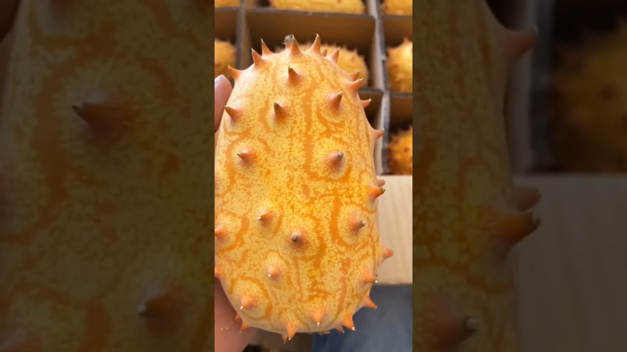 Do You Grow Horned Melon In Your Country? #satisfying #short