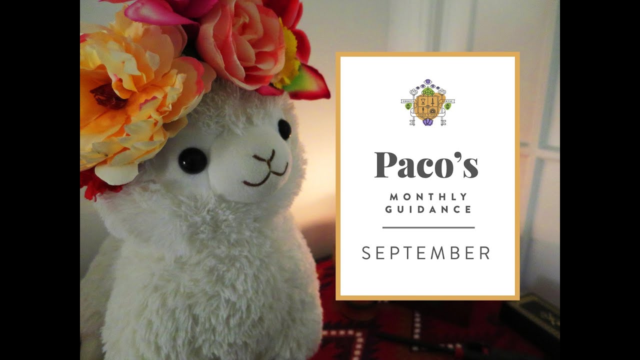 For September - Paco the Alpaca's Monthly Tarot Guidance - Alpacasso Witch