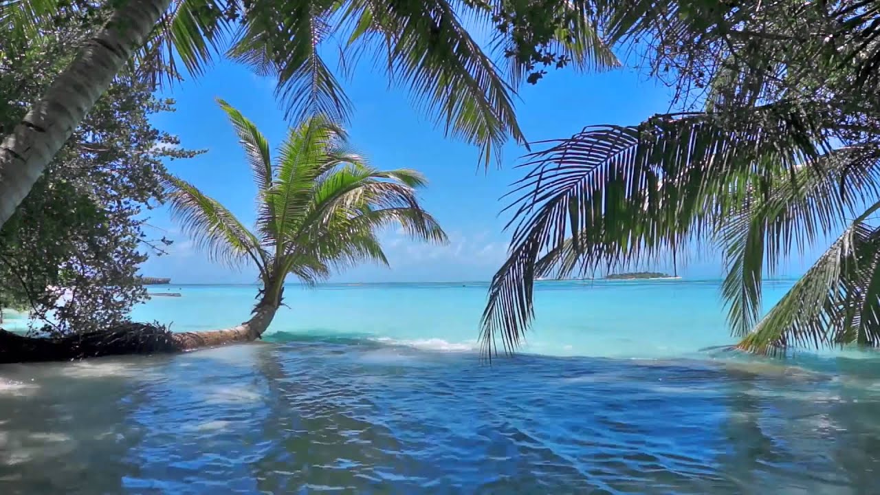 Einschlafmusik - Flöte, Meer und die Vögel - Entspannungsmusik