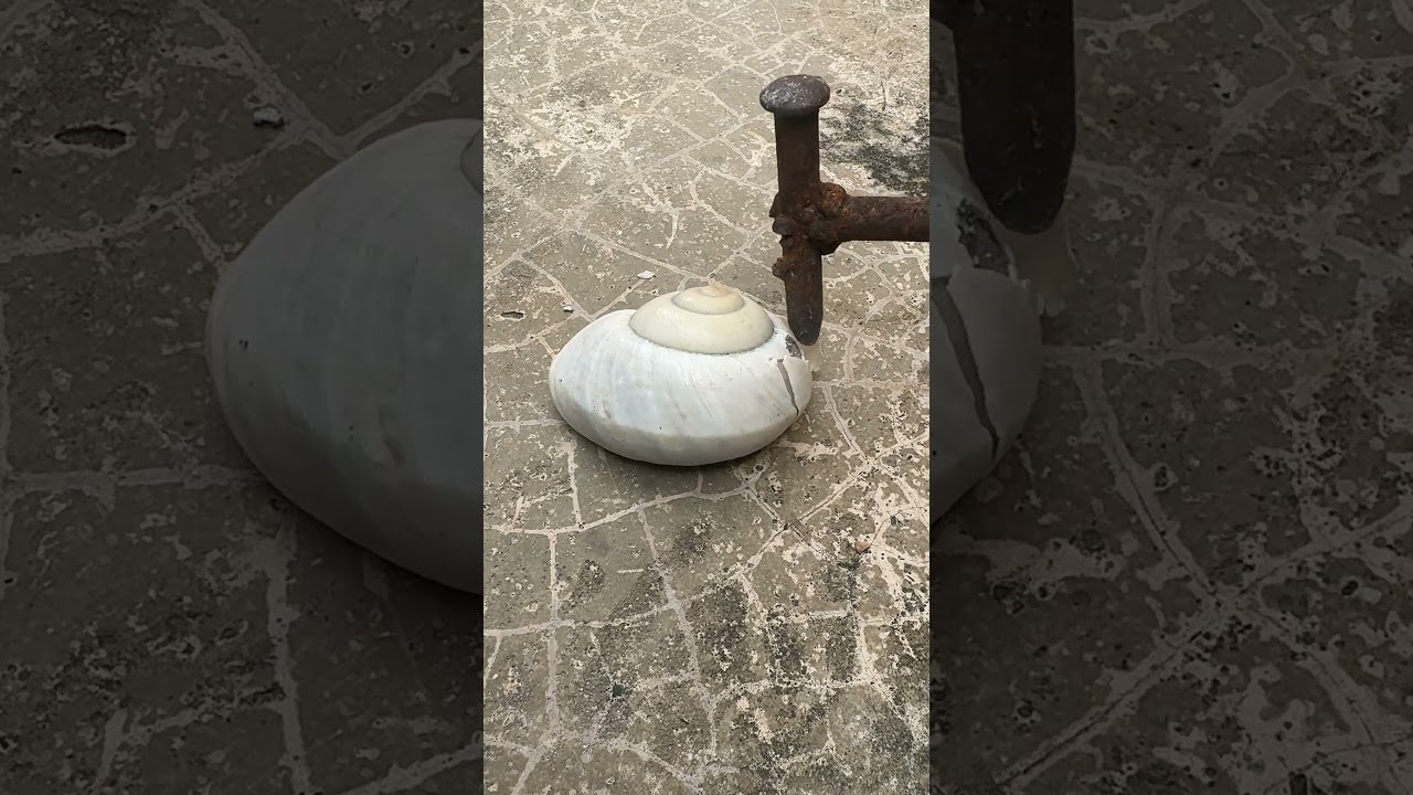 Epic Scrap Metal Casting! 🐚🔨 