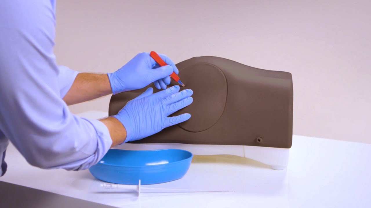 Entrenador de Paracentesis de  Limbs & Things