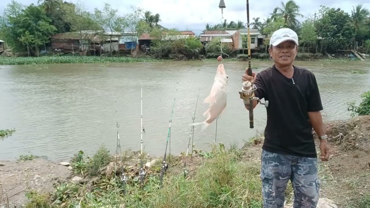 Kiếm được bãi câu đẹp cá ăn dữ thiệt | Mạnh Lùn Vlog