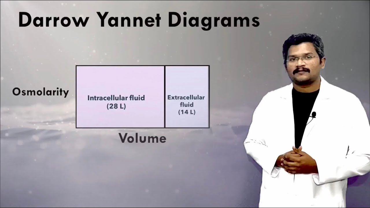 Darrow Yannet Diagrams: Isotonic, hypotonic and hypertonic saline solutions