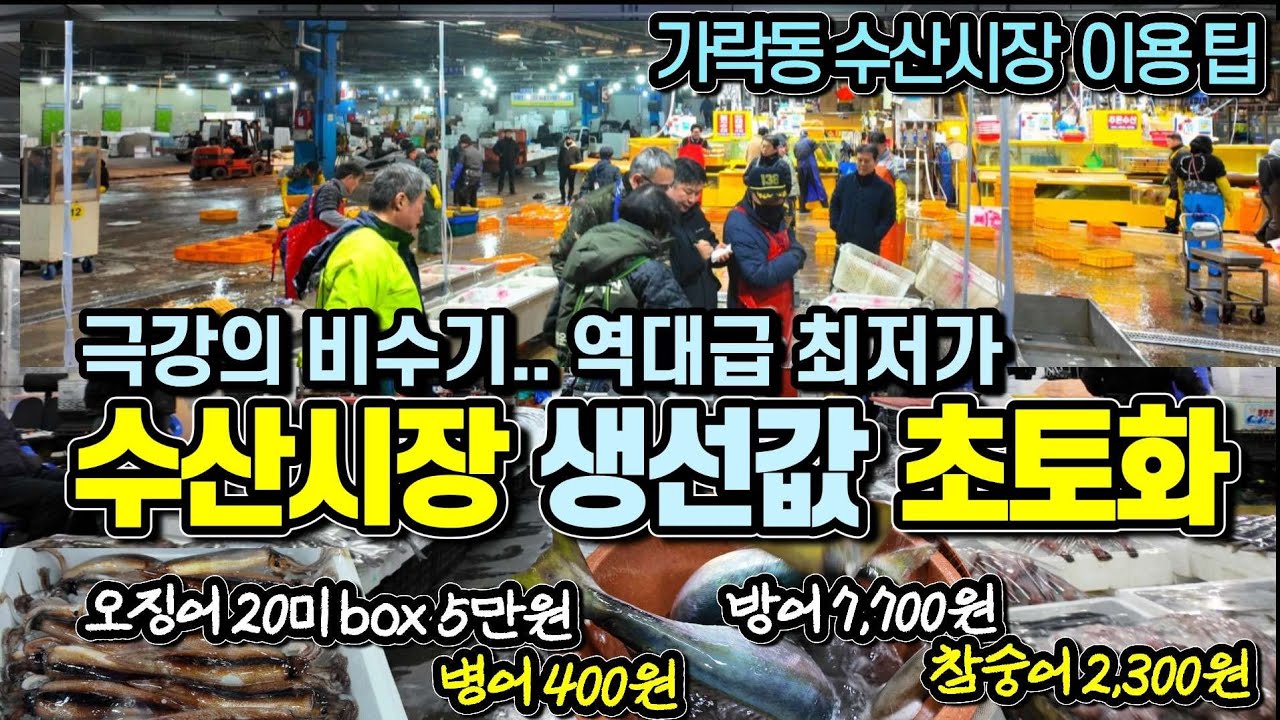 [상상불가 미친가격] 연휴 후유증, 구매 인파 실종? 끝없는 폭락! 3월 중순까지 폭락 이어진다? 가락수산시장 노량진수산시장 2대 도매시장 초토화 난리났네요!!