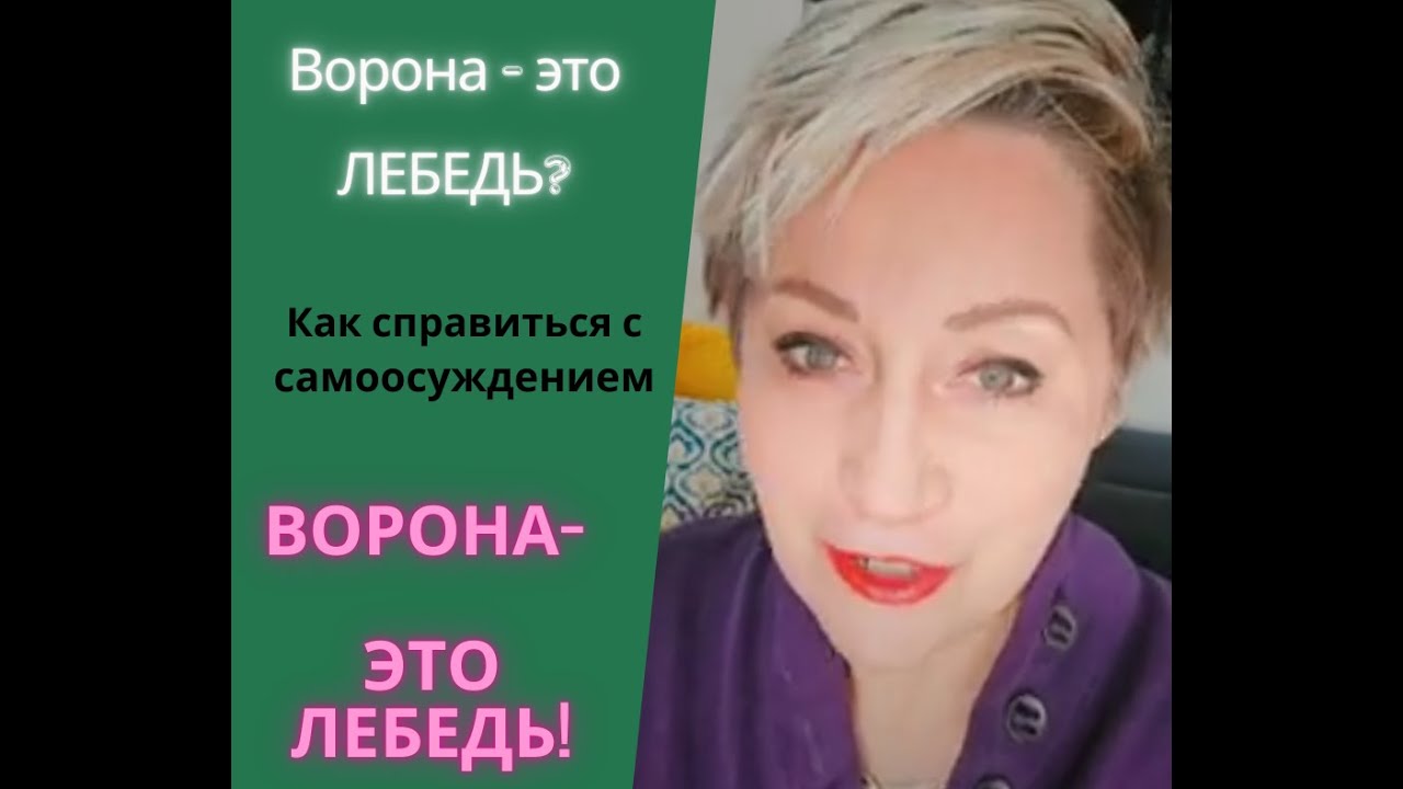 Ворона это лебедь?