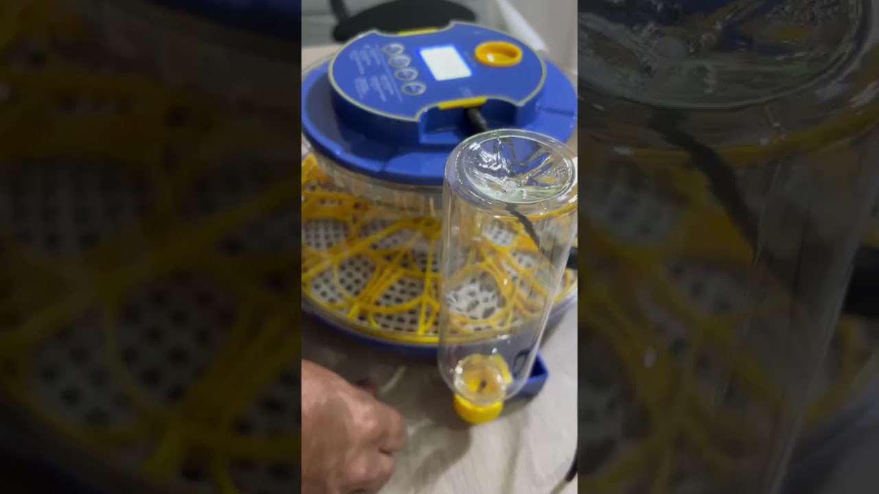 Incubadora 18 Huevos Intruccion De Uso