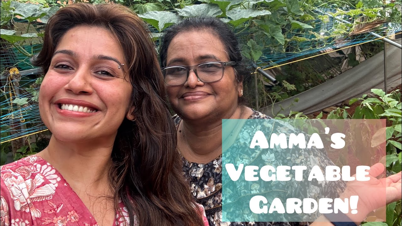Amma’s Vegetable Garden!|Sujatha Haridas|Ranjini Haridas Vlogs