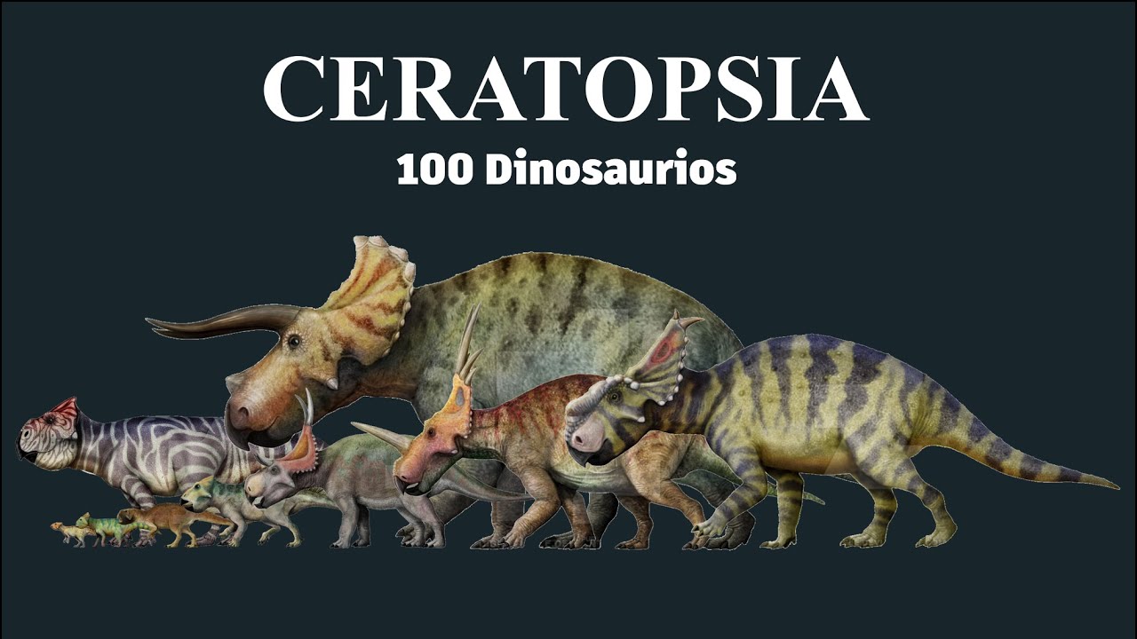 Comparación de Tamaño de DINOSAURIOS CON CUERNOS (Ceratopsia)
