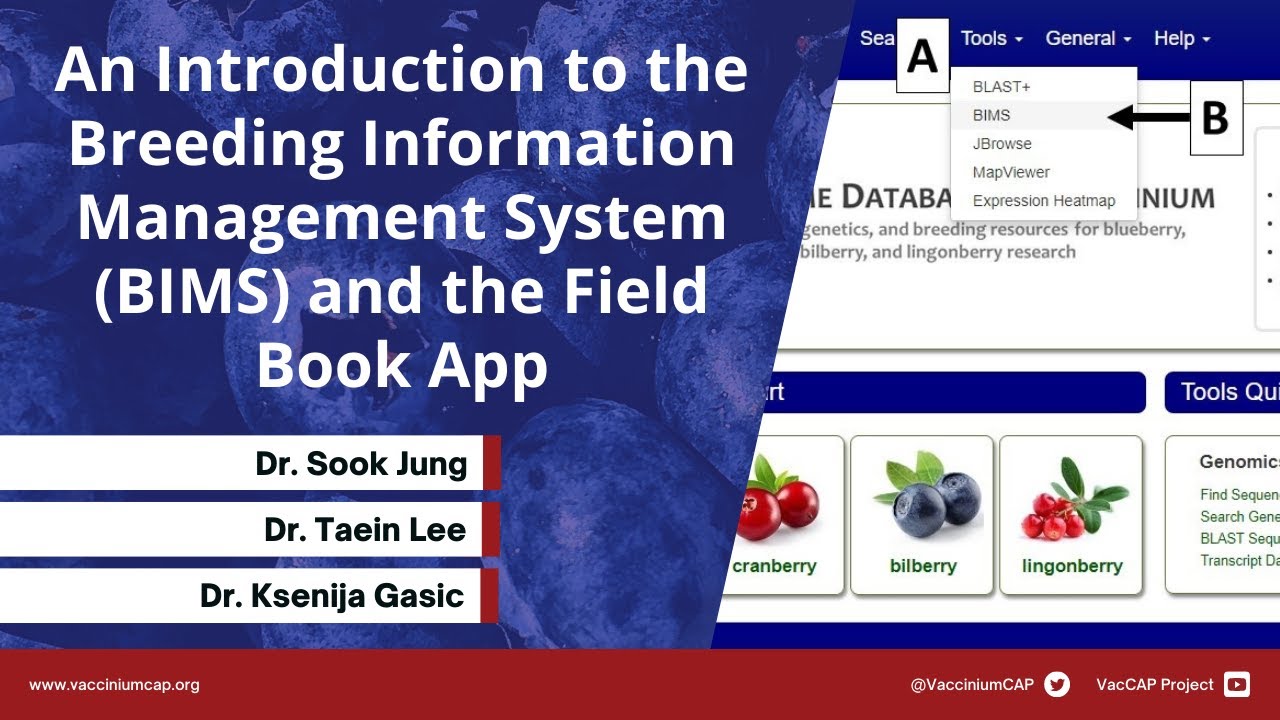 An Introduction to the Breeding Information Management System (BIMS) and the Field Book App