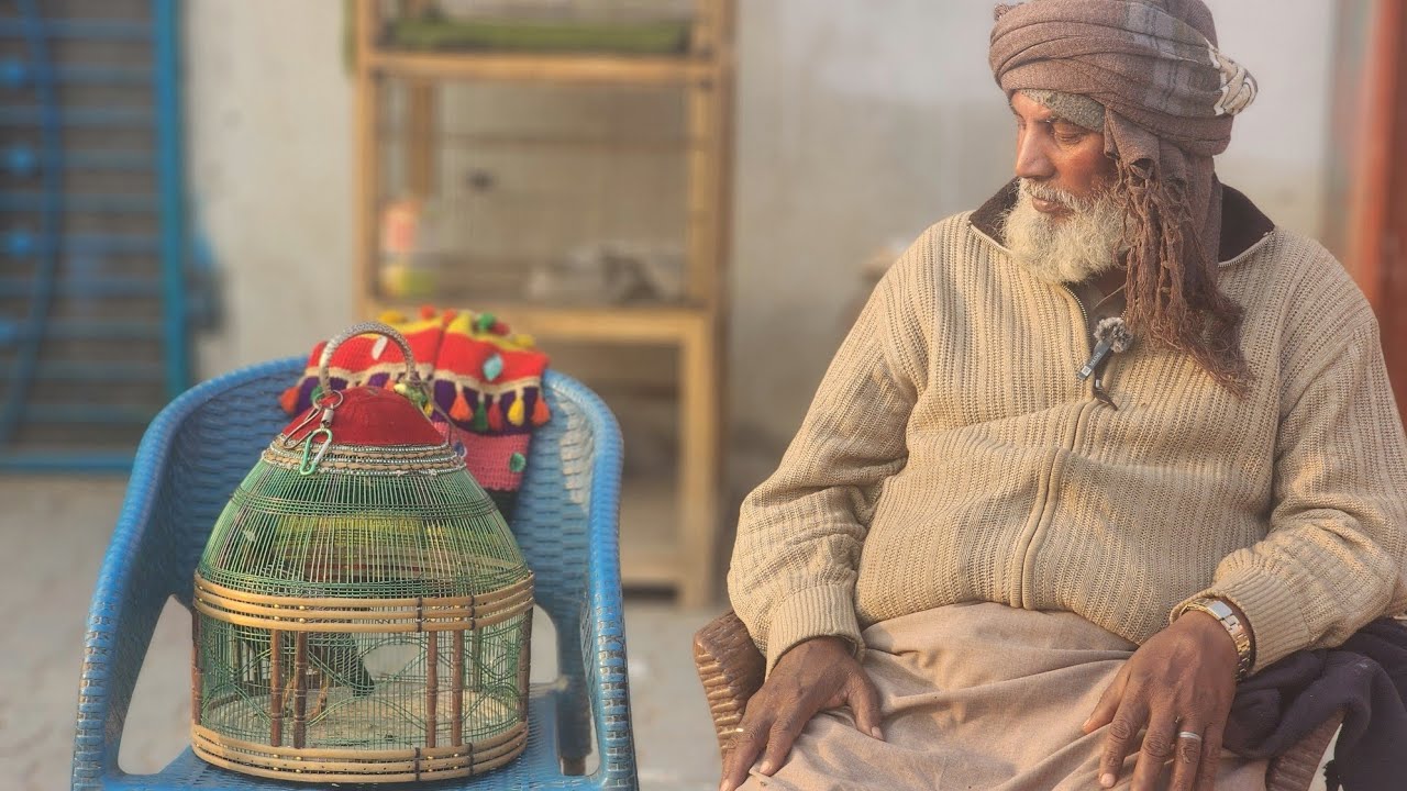 Baba ji kala teatar  group  teatar for sale