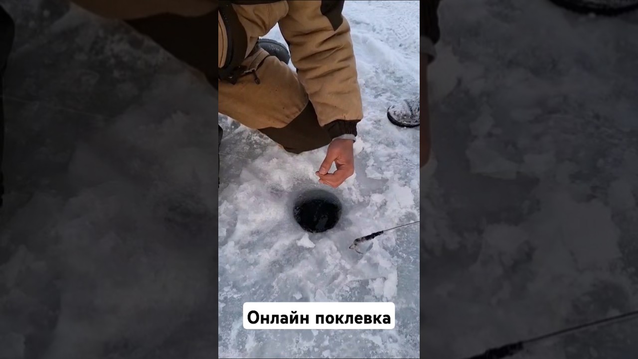 #fishing #bigfishing #rec #recommendations #новинки #подпишись #Алматы #казахстан #поплавок