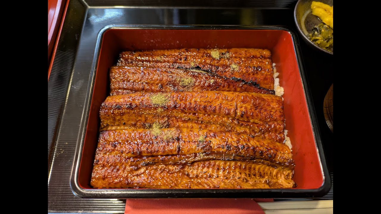 静岡県沼津市にある「うな匠」で夢のうな食べ放題！！