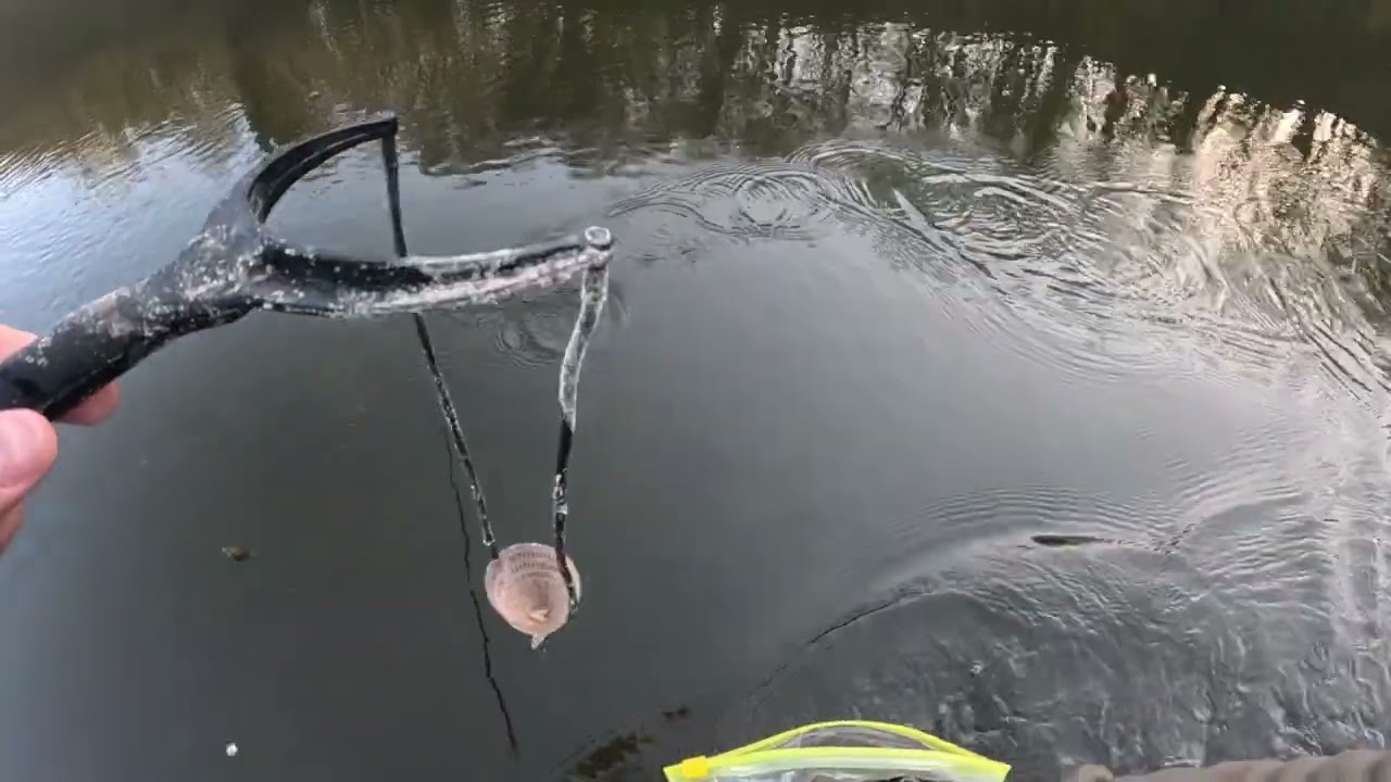 Disaster - not one of my best days fishing :-).