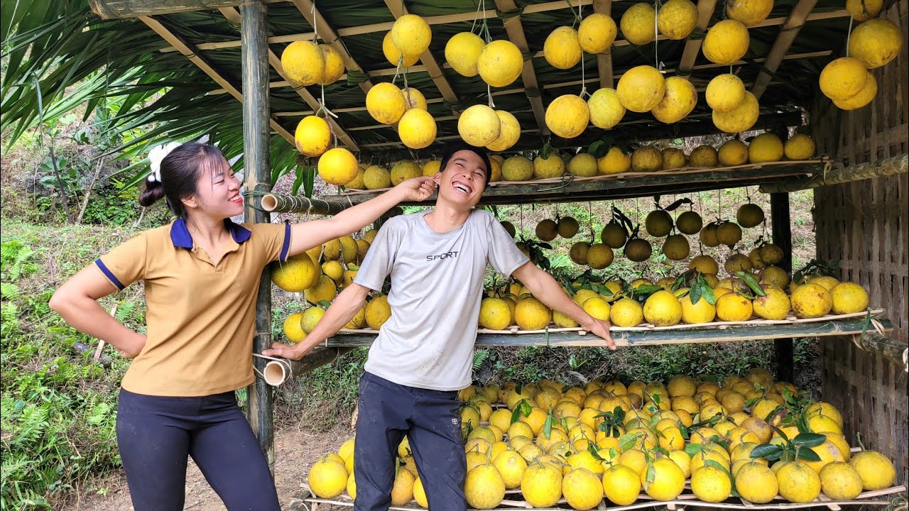 How to harvest and preserve grapefruit - Build a farm, garden | Linh's Life
