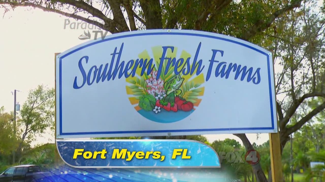 Southern Fresh Farms