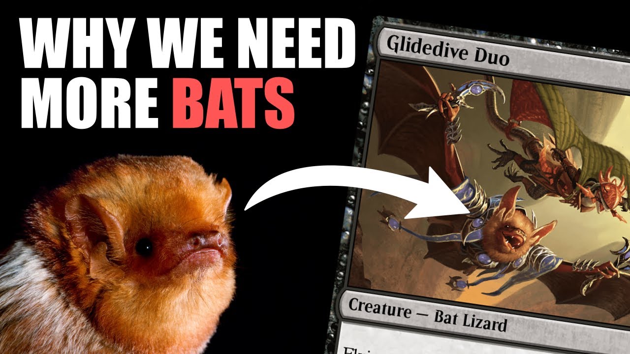 Identifying all the bats in MTG