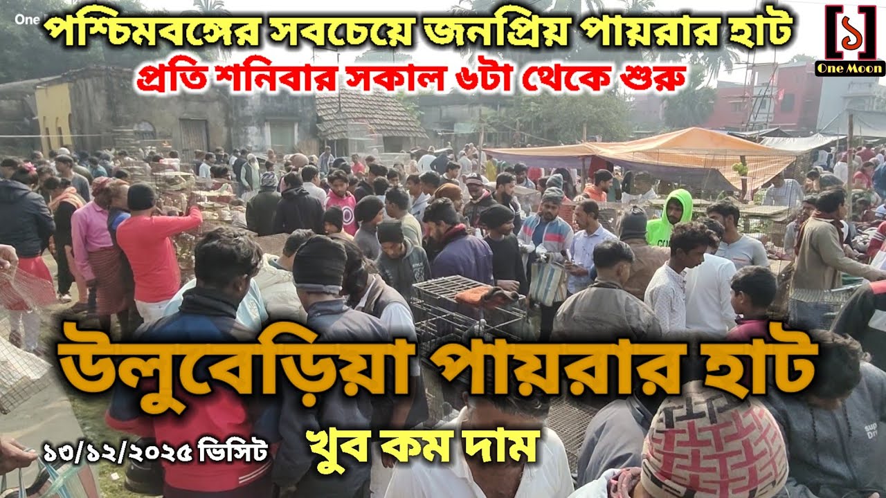উলুবেড়িয়া পায়রার হাট | Cheapest Pet Market In Kolkata | Uluberia Pigeon Market @OneMoon1 