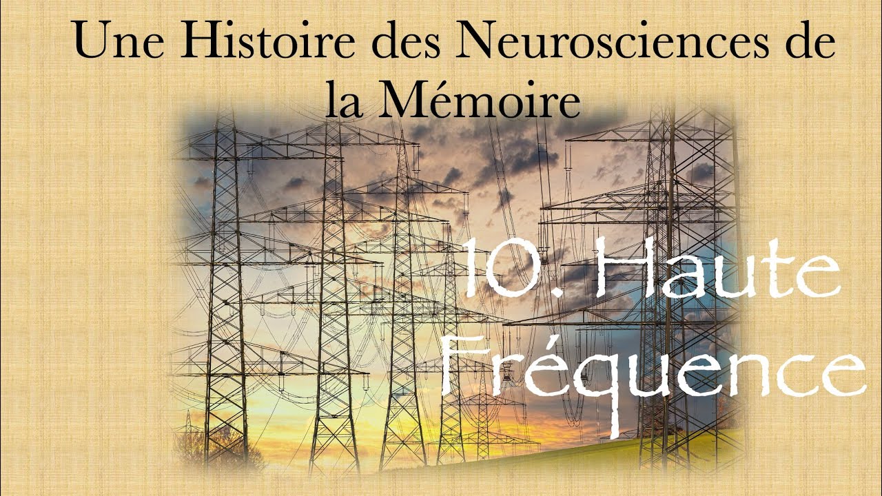 Une histoire des neurosciences de la mémoire - partie 10 Haute Fréquence
