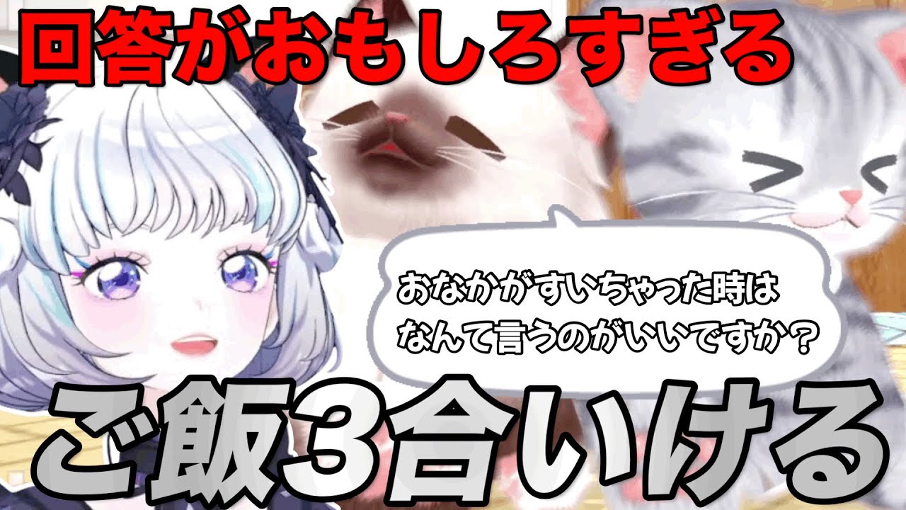ネコたちからの質問への回答がおもしろすぎる真未夢メエ【デミカツ切り抜き/真未夢メエ】