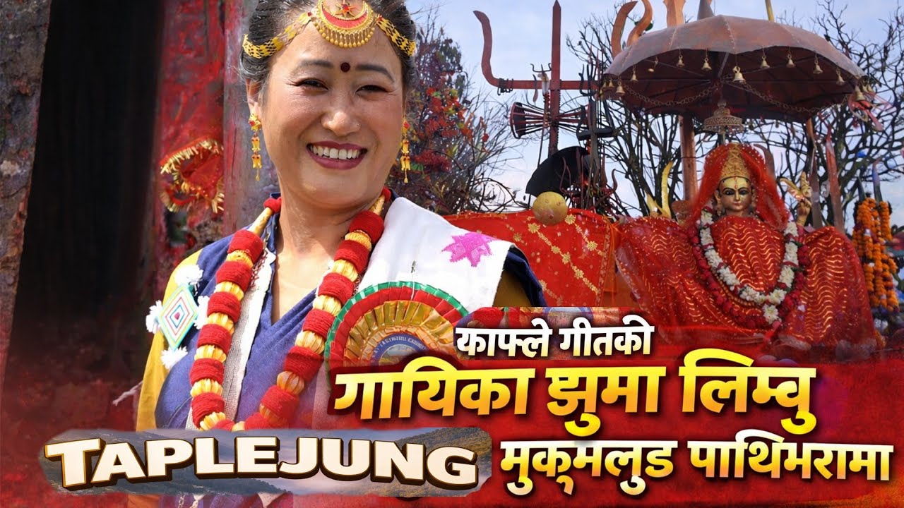 धान सुक्यो रापले फकाउँछ काफ्ले गाईका.. झुमा लिम्बु ताप्लेजुङको मुकुमलुङ पाथिभरामा।