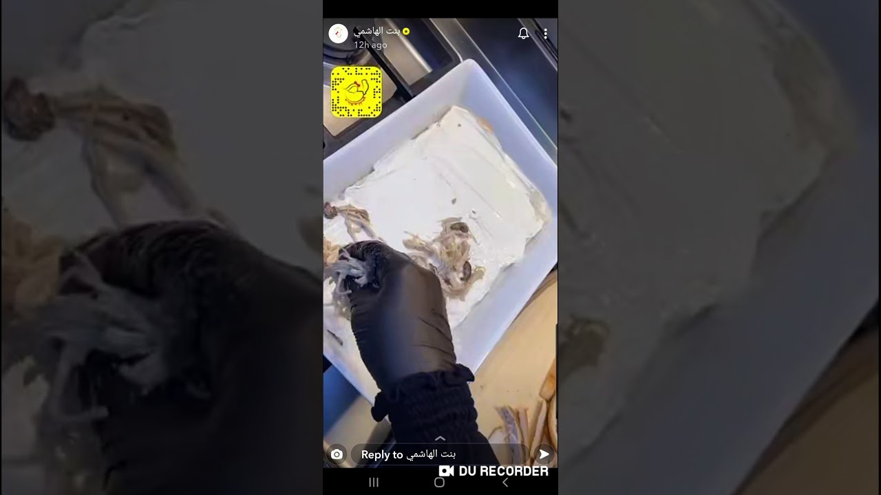 فطيرة الدجاج الباردة - بنت الهاشمي