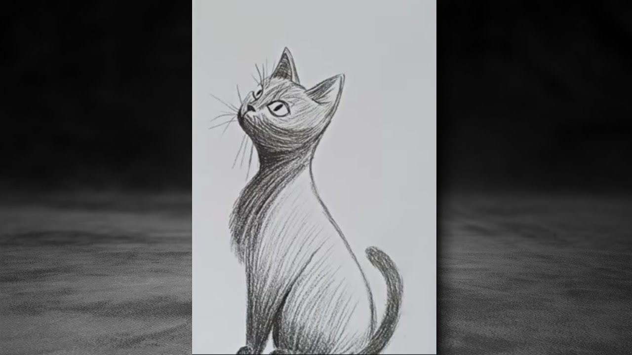 Desenhando um Gato! PASSO A PASSO ( time lapse)