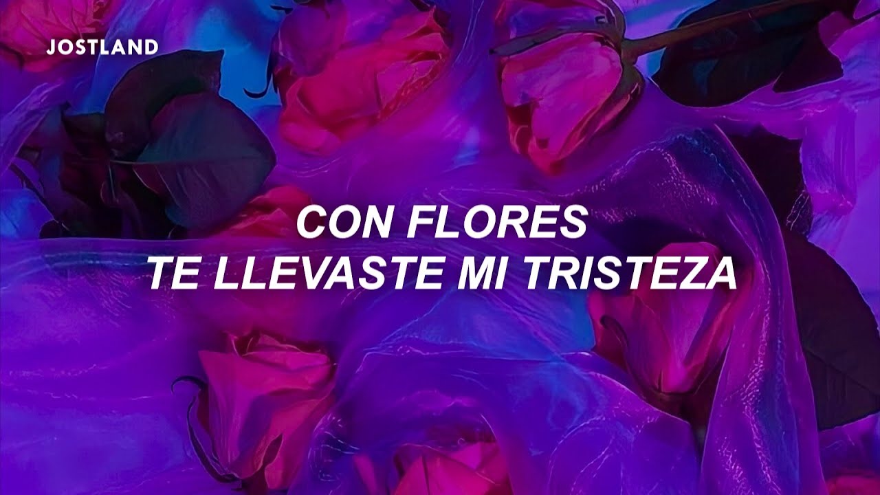 con flores te llevaste mi tristeza con colores (Letra/Lyrics)