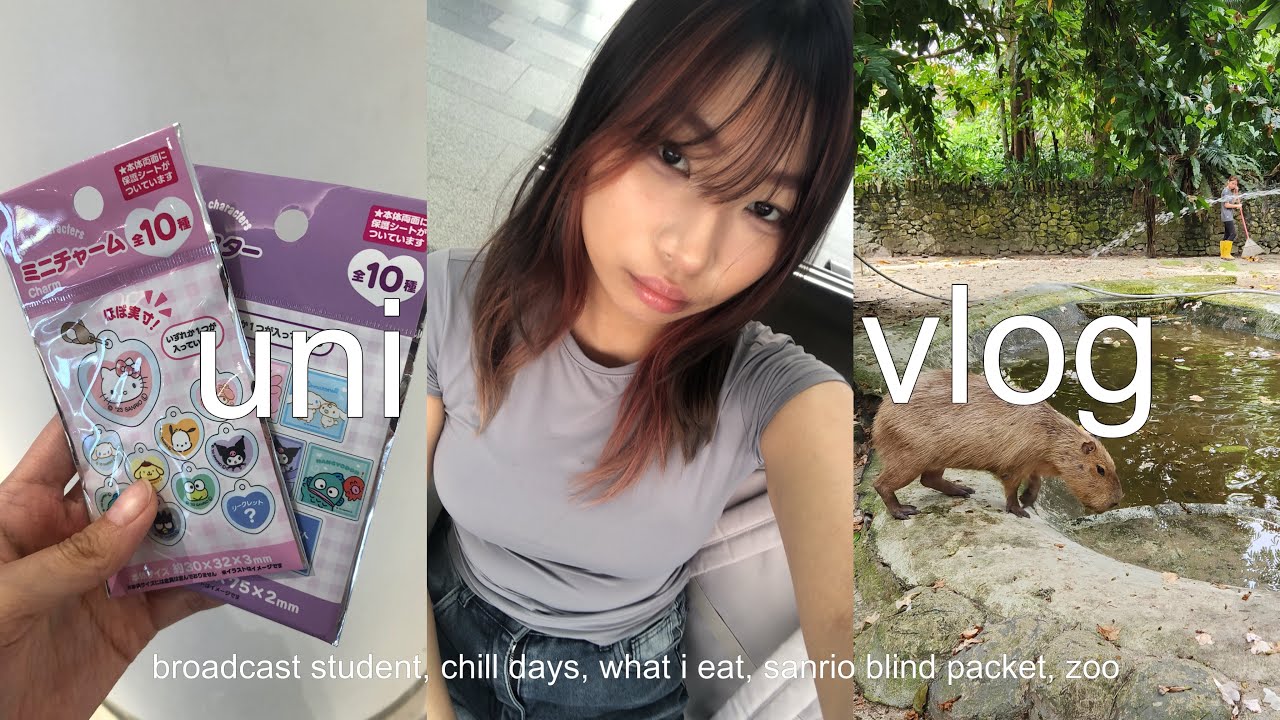 UNI VLOG 🍓: broadcast student, chill days, what i eat, sanrio blind packet, zoo
