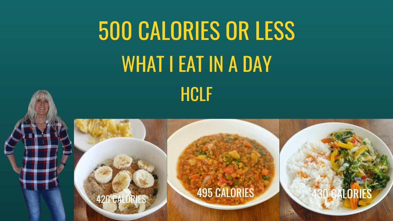 500 Calories Or Less / What I Eat In A Day / HCLF