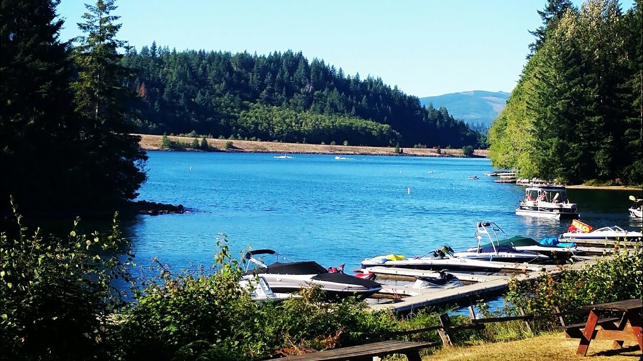 Lake Mayfield Resort and Marina