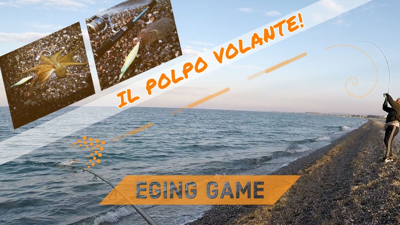 EGING da riva con POLPO VOLANTE e SEPPIA al VOLO - clipanlger