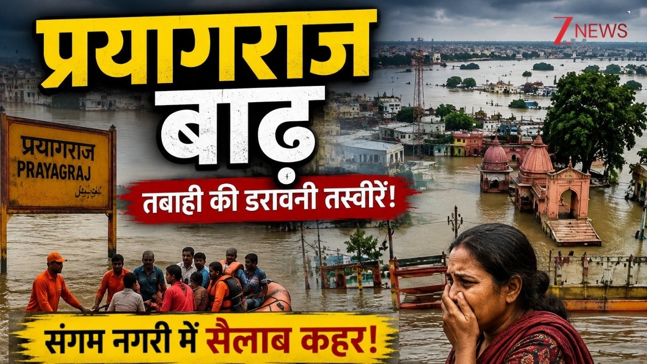 Prayagraj Flood Alert Big News LIVE : प्रयागराज बाढ़ तबाही की डरावनी तस्वीरें ! UP News | Breaking