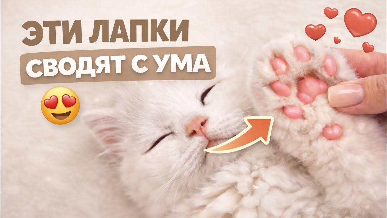 Айсберг вывалил свое пузо )))