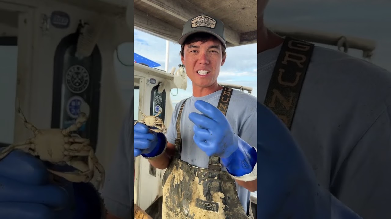 Did you know crabs are cannibals? 