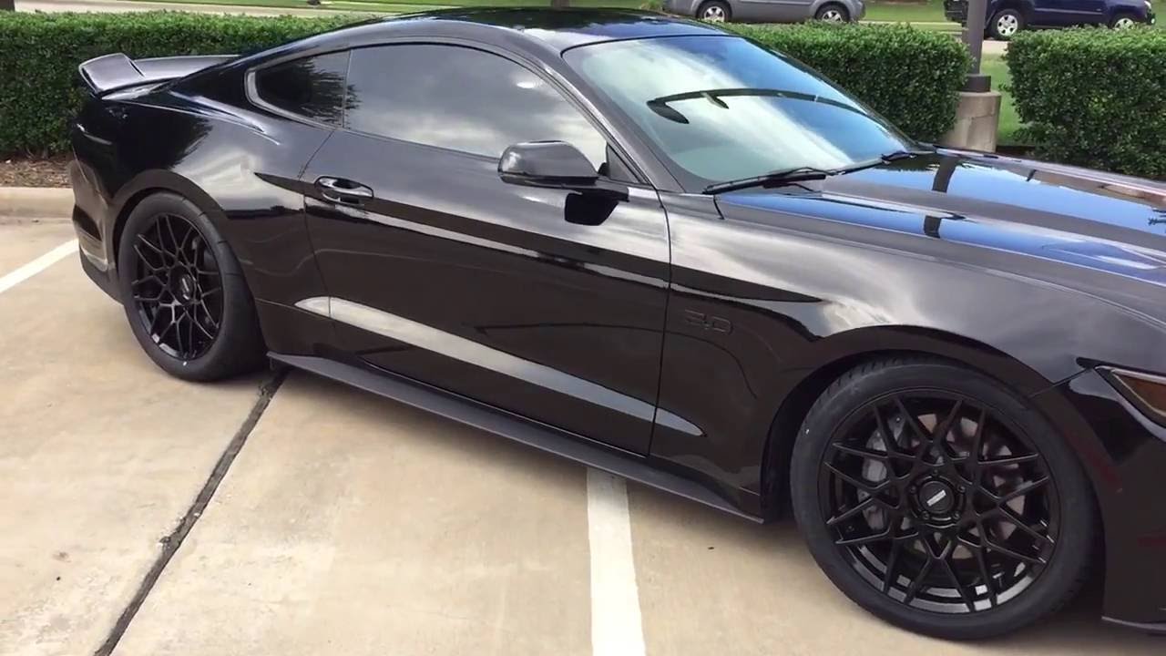 2015 Mustang GT UPDATE | Eibach Sportlines and drag radials!