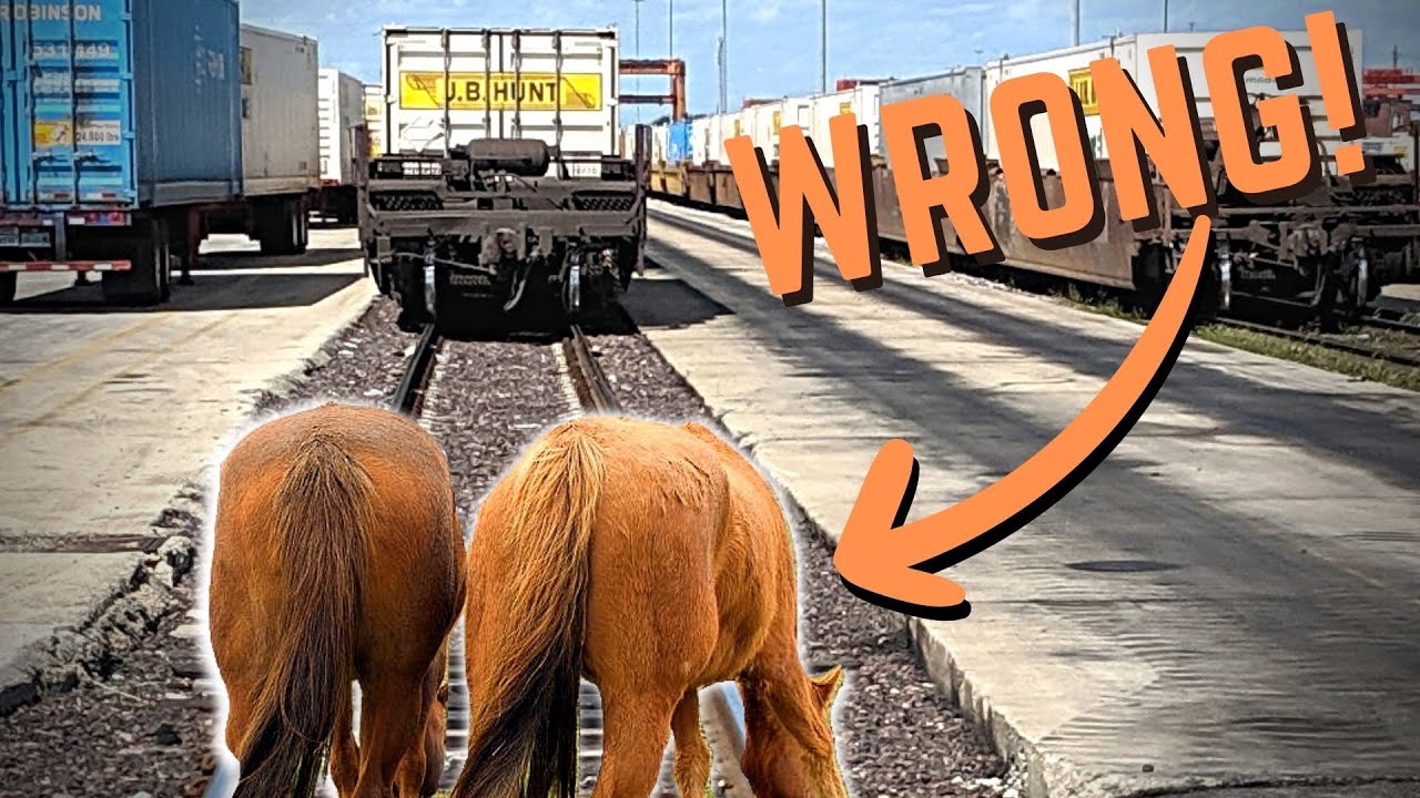 Where does standard gauge even come from???