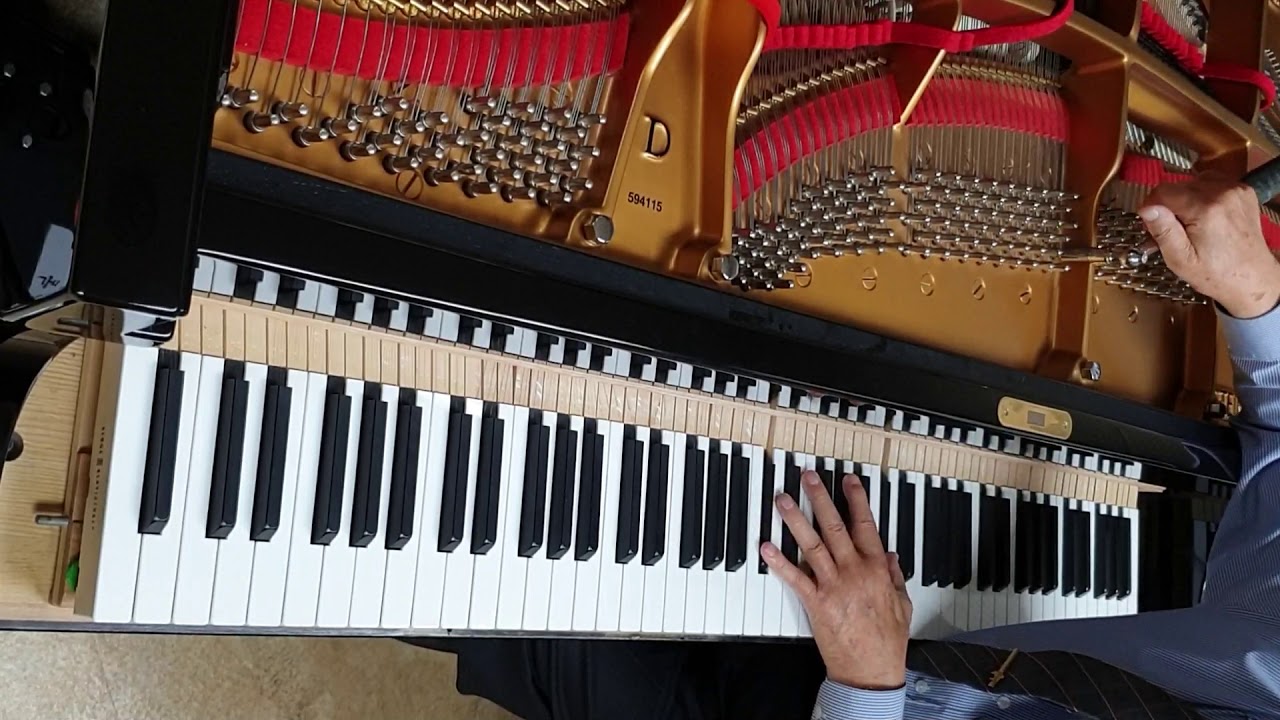 대한민국 명장 이종열 조율사 조율영상 Korea master hand tuning