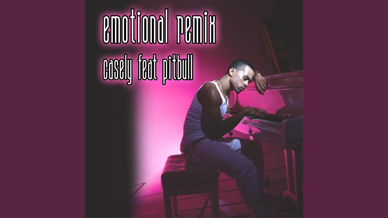 Emotional Pitbull Remix