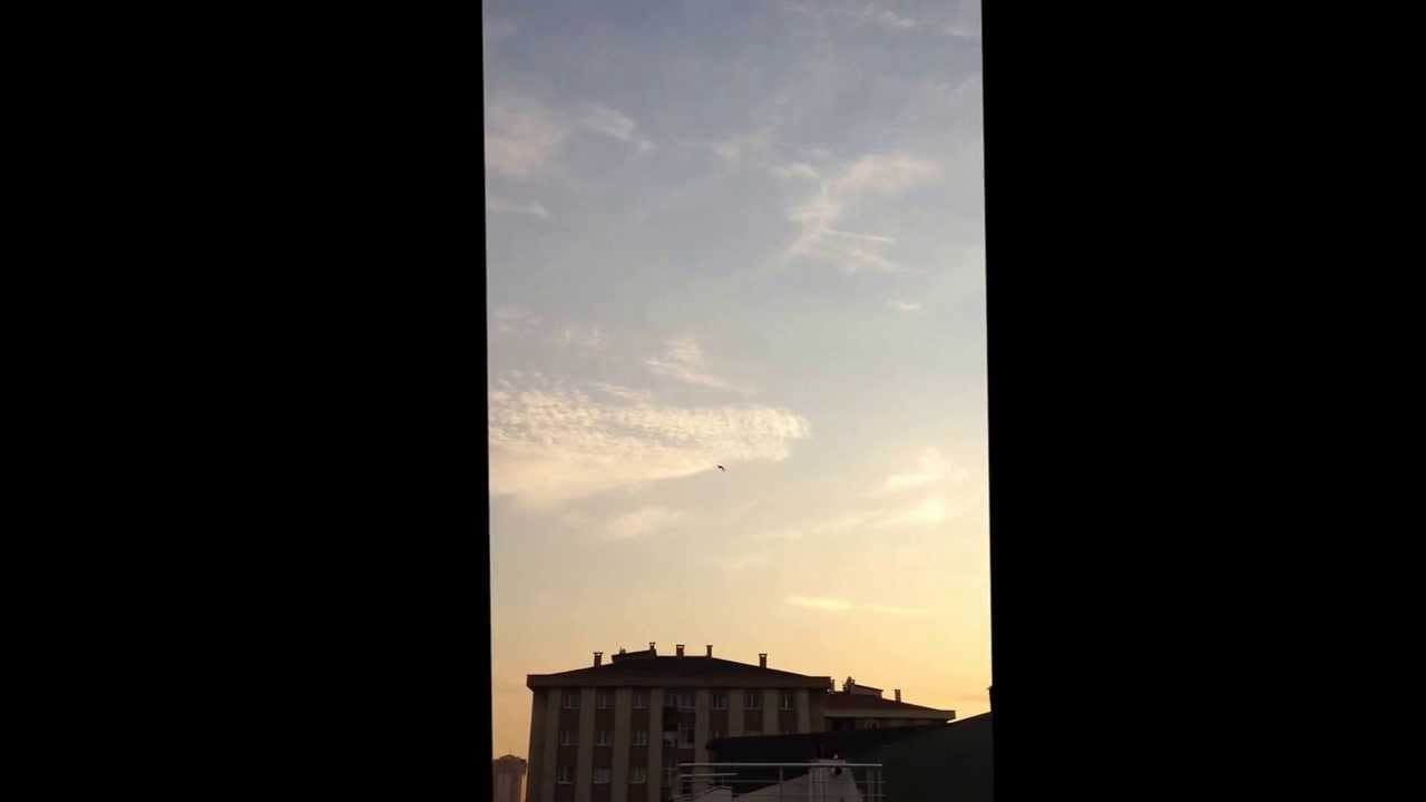 h&uuml;seyin yamadağ sabuni yavru 2013