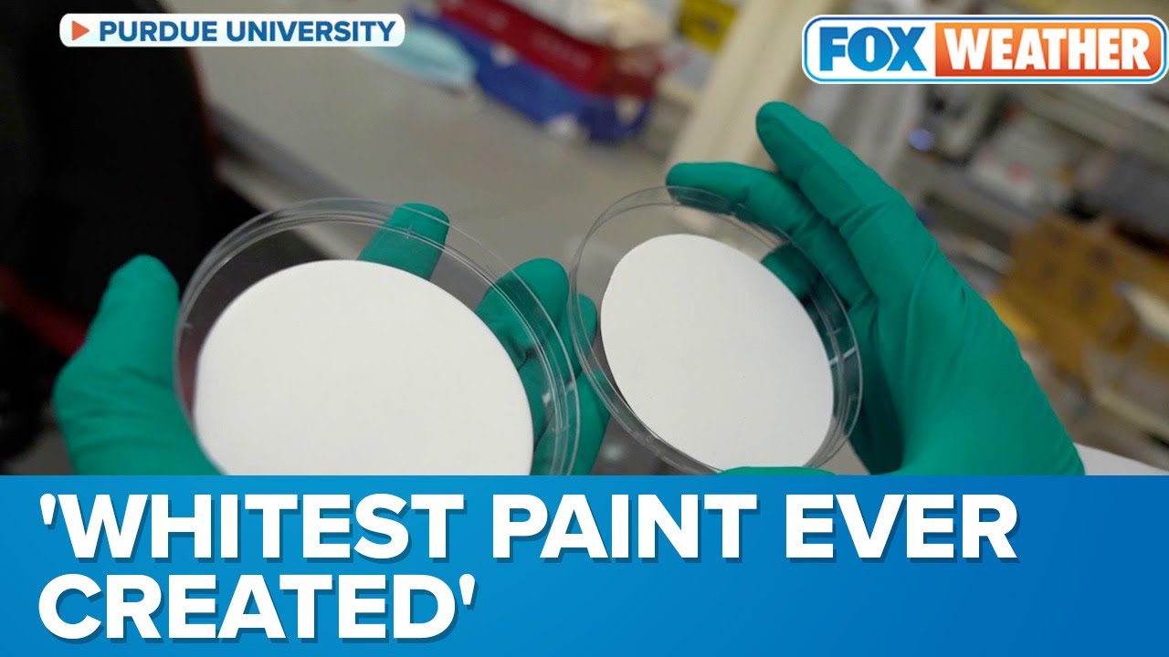 'Whitest Paint Ever Created': New Reflective Paint Would Direct Heat Away From Homes