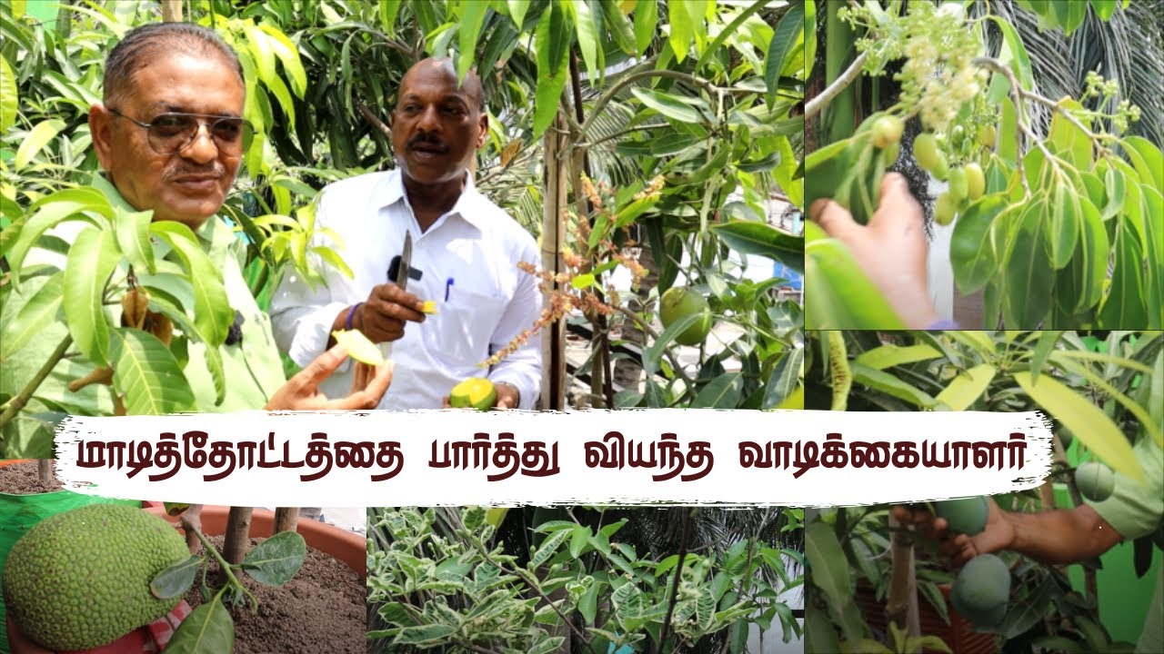 Villupuram Fruit Seller Visits Our Garden, Gets Excited to Create His Own with Our Expertise!
