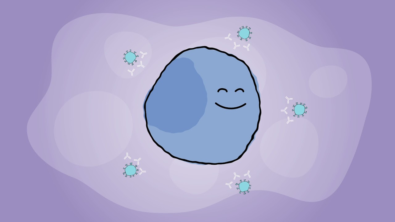 What Are Monoclonal Antibodies?