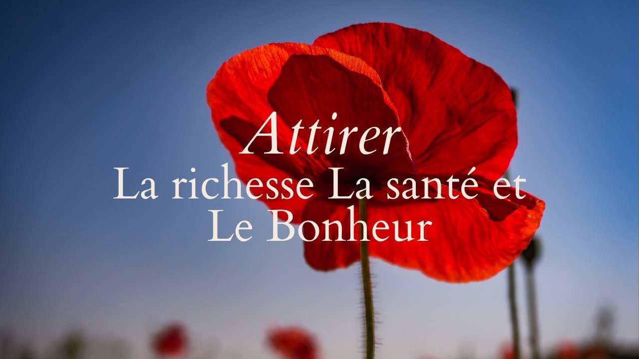 Méditation guidée pour manifester la richesse - santé - joie avec reprogrammation de l'inconscient.